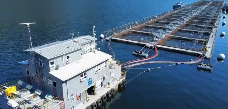 Energy Storage Container Price&nbsp;&ndash; BESS Cost Structure, TCO & Procurement 2026